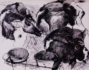 Vasikat, kosteat, vastasyntyneet, 1978 tekijältä Brenda Brin Booker