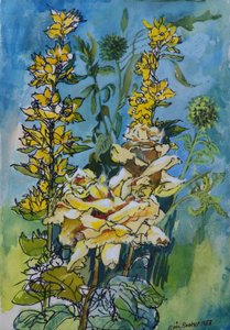 Yellow Rose and Loosestrife, 1983 (kynä ja muste wc:llä paperilla) tekijältä Brenda Brin Booker
