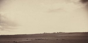Näkymä pellolle lehmien kanssa,1850-1860-luku (kuva) tekijältä British Photographer