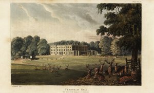 Hirvilauma Trentham Hallin edessä tekijältä British School