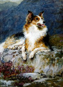 Collie maisemassa tekijältä Briton Riviere