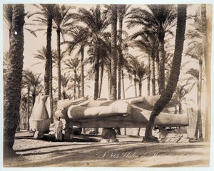 Memphis-patsas makaa palmutarhassa Egyptissä - Zangali-veljesten valokuva, 1800-luvun loppu
