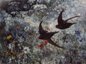 (Yleinen) Swift