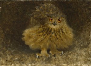 Pöllö, 1905