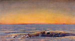 Auringonnousu, 1896 tekijältä Bruno Andreas Liljefors