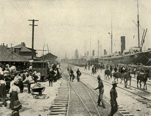 Vangit vapautettiin, Espanjan ja Amerikan sota, kesäkuu 1898, 1899. tekijältä Burr McIntosh