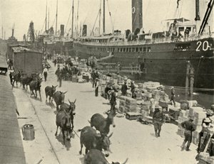 Joukkolaivat Port Tampassa, Floridassa, Yhdysvalloissa, Espanjan ja Amerikan sota, 10. kesäkuuta 1898, 1899.