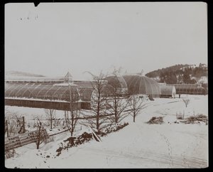 Kasvihuoneet lumisateessa Helen Gouldin kartanolla (myöh. Jay Gouldin asunto) Tarrytownissa, New Yorkissa, 1894 (hopeagelatiinipaino). tekijältä Byron Company