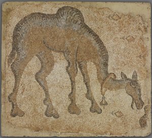 Mosaiikkifragmentti laiduntavalla kamelilla tekijältä Byzantine