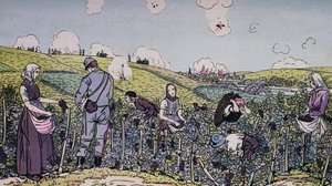 Viininviljelijämme korjasivat sadon tulen alla, sadonkorjuu Champagnen alueella vuonna 1914, ensimmäinen maailmansota, Ranska, 20. vuosisata tekijältä J.B. and Brown J. Rowbotham