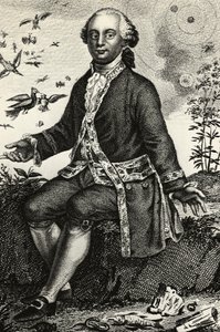 Georges-Louis Leclerc de Buffonin (1707-1788), ranskalaisen luonnontieteilijän ja matemaatikon muotokuva, kaiverrus tekijältä J.B. and Brown J. Rowbotham