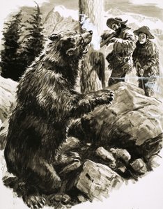 Amerikkalainen harmaakarhu, jonka ansapyytäjät ampuvat tekijältä C.L. Doughty