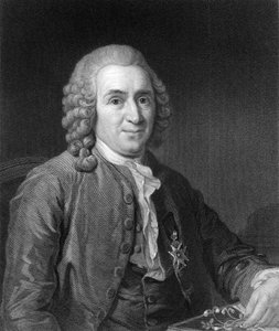 Carolus Linnaeus, 1700-luvun ruotsalainen luonnontieteilijä, 1836.