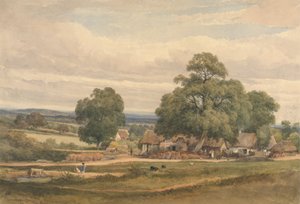 Emerey Down lähellä Lyndhurstia, New Forest, Hants tekijältä C. John M. Whichelo