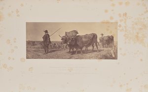 R. Ansdellin kirjoittama "Paluu työelämästä". tekijältä Caldesi and Montecchi