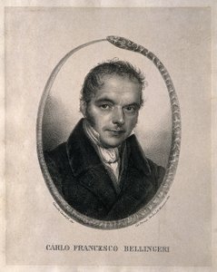 Carlo Francesco Bellingeri. Litografia Camilla Gandolfin mukaan, 1839. Elämäkerta italiaksi