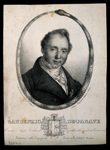 Gaudenzio de Pagave. C. Gandolfin litografia.
