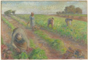 The Beet Harvest, 1881 (guassi grafiitin päällä pellavalla) tekijältä Camille Jacob Pissarro