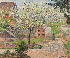 Luumupuut paikassa Blossom, Éragny. Maalarin koti, 1894.