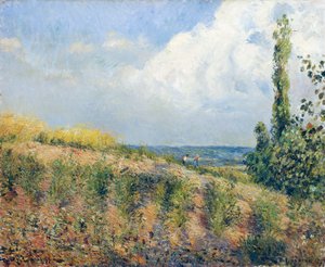 Lähestyvä myrsky, kirjoittanut Camille Pissarro tekijältä Camille Pissarro