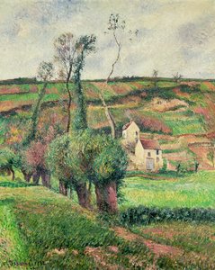 Kaalirinteet, Pontoise tekijältä Camille Jacob Pissarro