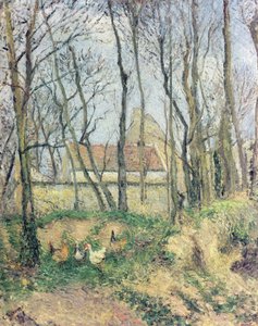 Tuntematon kuva tekijältä Camille Jacob Pissarro