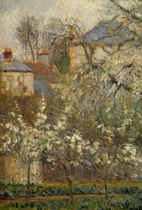 Kasvispuutarha ja puut kukkivat keväällä Pontoisessa tekijältä Camille Jacob Pissarro