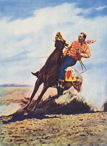 Cowboy pysäyttää hevosensa nopeasti (värillinen kuva).