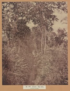 Nro 120. Rangoon. Tiger Alley