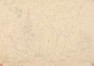 Holne Chase, 30 de maio de 1833 finlandês tekijältä Capt. Thomas Hastings