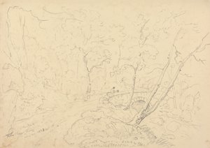 Holne Chase Bridge and River, 30. toukokuuta 1833 tekijältä Capt. Thomas Hastings