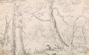 Mayon saari, Cheshunt, 23. toukokuuta 1814 tekijältä Capt. Thomas Hastings