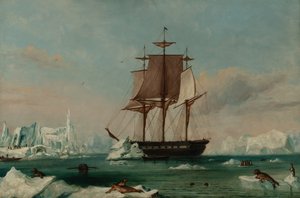 USS Vincennes Pettymyslahdella (öljy kankaalle) tekijältä Captain Charles (attributed to) Wilkes