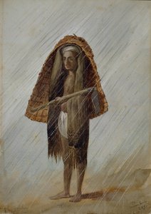 Cultivador Concan Coonbie, finlandès de l