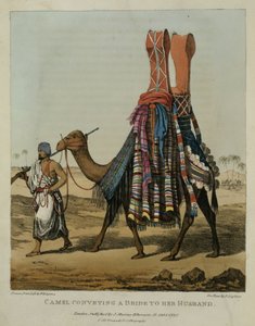 Kameli välittää morsian miehelleen, kaiverrettu Denis Dightonin (1792-1827) levylle 16 kirjasta "A Narrative of Travels in Northern Africa", pub. 1821