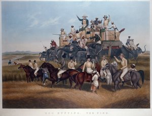 Hog Hunting: The Find, kaiverrettu ja pubi. kirjoittanut herra Fores, n. 1840 (värillinen kaiverrus) tekijältä Captain John (after) Platt