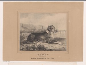 Koira Tonava Tonava. Chien du Baron de Westreenen de Tiellandt (otsikko esineessä) tekijältä Carel Christiaan Antony Last