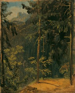 Metsäpolku Harzissa tekijältä Carl Blechen
