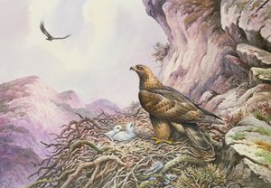 Huonekalut ja erilaiset esineet 1100- ja 1300-luvuilta tekijältä Carl Donner