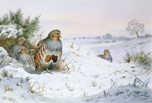 Huonekalut ja erilaiset esineet 1100- ja 1300-luvuilta tekijältä Carl Donner