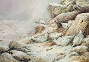 Huonekalut ja erilaiset esineet 1100- ja 1300-luvuilta tekijältä Carl Donner