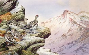 Huonekalut ja erilaiset esineet 1100- ja 1300-luvuilta tekijältä Carl Donner