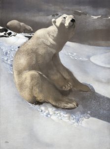 Jääkarhu tekijältä Carl Ederer