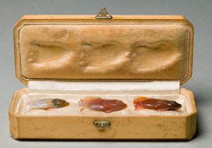 Kolmen kalan sarja alkuperäisessä laatikossa, n. 1890 tekijältä Carl Fabergé