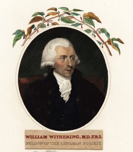 Lääkäri ja kasvitieteilijä William Witheringin muotokuva tekijältä Carl Frederik van (after) Breda