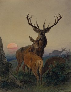 Hirvi peuran kanssa metsäisessä maisemassa auringonlaskun aikaan tekijältä Carl Friedrich Deiker