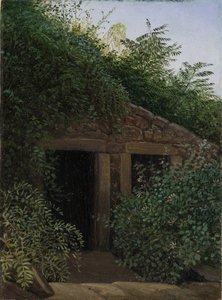 Ylikasvanut kaivoskuilu tekijältä Carl Gustav Carus