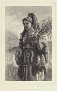 Nuori druiditar tekijältä Carl Haag