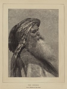 Sheikh