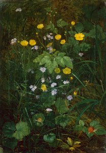 Buttercups ja Forget-Me-Nots metsäkerroksessa tekijältä Carl Henrik Koch Moller